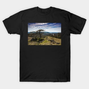 Coniston Water From Arnside T-Shirt